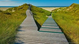 A boardwalk in Norddorf on Amrum Island, Germany