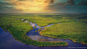 Aerial view of Everglades National Park, Florida