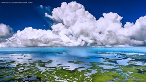 Aerial view of Everglades National Park, Florida