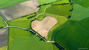Aerial view of a heart-shaped field in Trittau, Germany