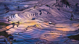 Aerial view of terraced rice fields, Yuanyang County, China