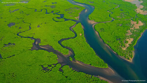 Aerial view of the Amazon River in Brazil
