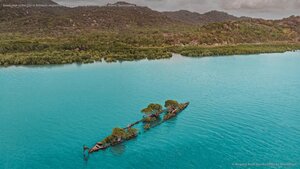 Aerial view of the City of Adelaide shipwreck with trees growing on it, Magnetic Island, Queensland, Australia