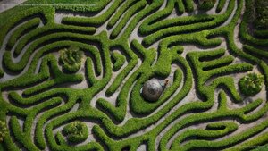 Aerial view of the cherry laurel maze in Glendurgan Garden, Cornwall, England