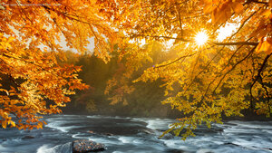 River rapids in Algonquin Provincial Park, Ontario