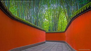 Alley and bamboo grove in Wuhou Temple, Chengdu, Sichuan province, China
