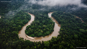 Amazon rainforest, Ecuador