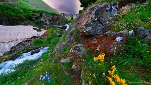American Basin in southern Colorado's San Juan Mountains