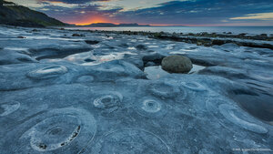 Ammonite Pavement at Monmouth Beach, Jurassic Coast World Heritage Site, Dorset, England
