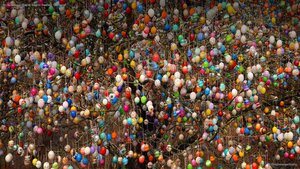 An osterbaum (Easter tree) in Saalfeld, Germany