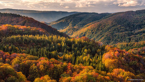 八甲田山の紅葉, 青森県青森市