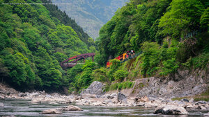 Un tren que circula a lo largo del río Hozugawa en Arashiyama, Kioto, Japón