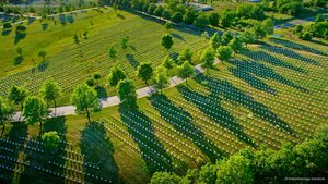 Arlington National Cemetery in Virginia
