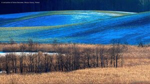 A rural portion of Gmina Barczewo, Olsztyn County, Poland