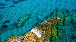 A snorkeler in the Mediterranean Sea at Cabo de Gata-Níjar Natural Park in Spain