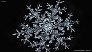 A snowflake
