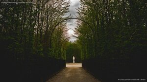 A statue in the Gardens of Versailles in France