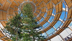 A treetop walkway in the Bavarian Forest National Park, Neuschönau, Germany