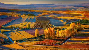 Autumnal landscape near the town of Clavijo in Spain's Rioja wine region