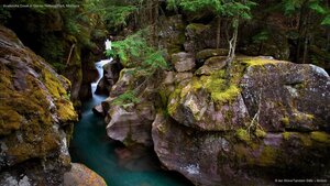 Avalanche Creek in Glacier National Park, Montana