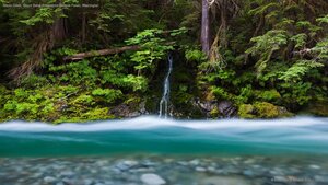Bacon Creek, Mount Baker-Snoqualmie National Forest, Washington