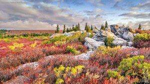 Bear Rocks Preserve, West Virginia