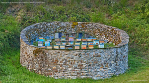 Beehives in the Muniellos Nature Reserve, Asturias province, Spain