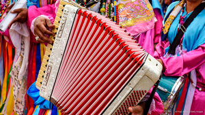 Acordeonista tocando seu instrumento