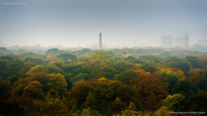 Herbstliche Farben in Berlin