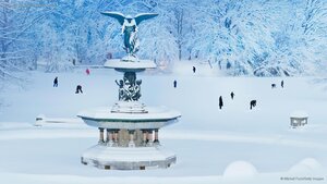 Bethesda Fountain in New York City