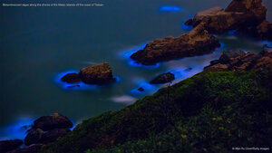 Bioluminescent algae along the shores of the Matsu Islands off the coast of Taiwan