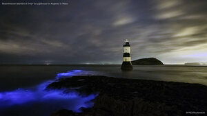 Bioluminescent plankton at Trwyn Du Lighthouse on Anglesey in Wales