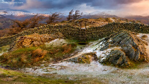 Black Fell, Lake District, England
