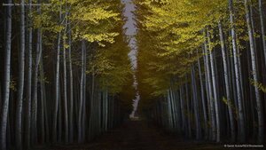 Boardman Tree Farm in Boardman, Oregon