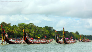Oarsmen rowing in snake boats at Aranmula, Kerala