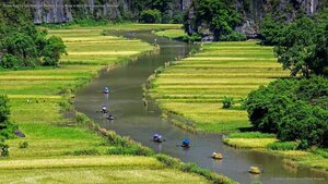 Boats float by rice fields on the Ngo Dong River in Ninh Bình province, Vietnam
