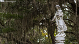 Bonaventure Cemetery, Savannah, Georgia