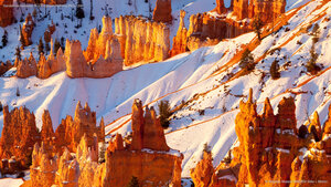 Sandstone hoodoos, Bryce Canyon National Park, Utah