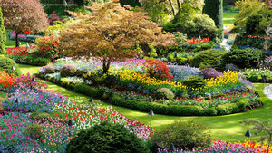 Butchart Gardens in Brentwood Bay, British Columbia, Canada