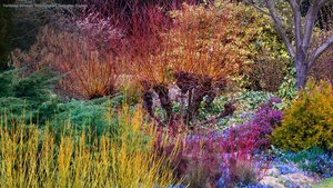Cambridge University Botanic Garden, Cambridge, England