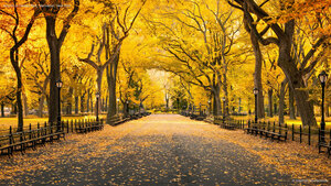 Autumn in Central Park, Manhattan, New York