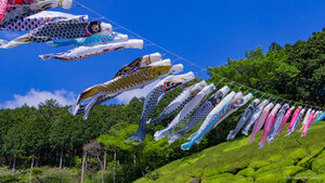 姫の沢公園, 静岡県 熱海市