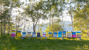 Colorful beehives in Italy