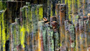 Columnar basalt stone in the Umpqua National Forest, Oregon