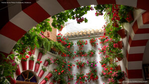 Festival de los Patios Cordobeses, Andalucía
