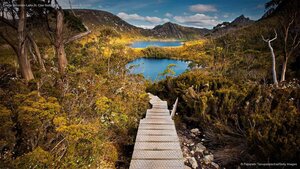 Cradle Mountain-Lake St. Clair National Park, Tasmania, Australia