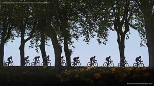 Cyclists ride along a tree-lined road during the Tour de France in 2016