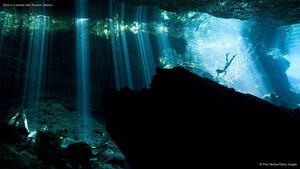 Diver in a cenote near Akumal, Mexico