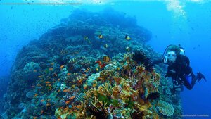 Dr. Sylvia Earle explores Australia's Great Barrier Reef in a scene from 'Mission Blue'