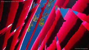 Dyed silk hanging to dry in Marrakech, Morocco